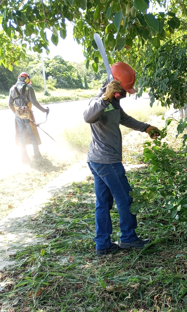 Limpieza_desmalezamiento